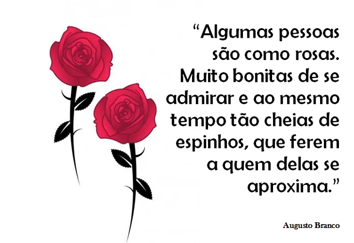 5809 5553 - Frases Sobre Rosas