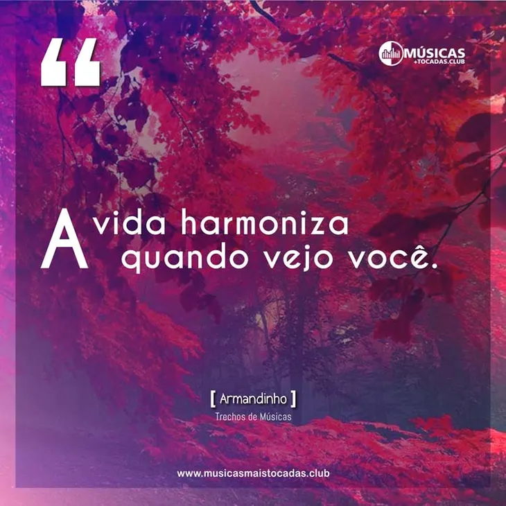 5874 2805 - Frases De Musicas Armandinho