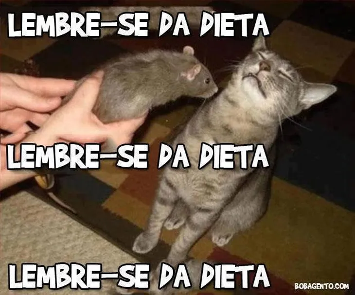 5930 92434 - Memes Dieta