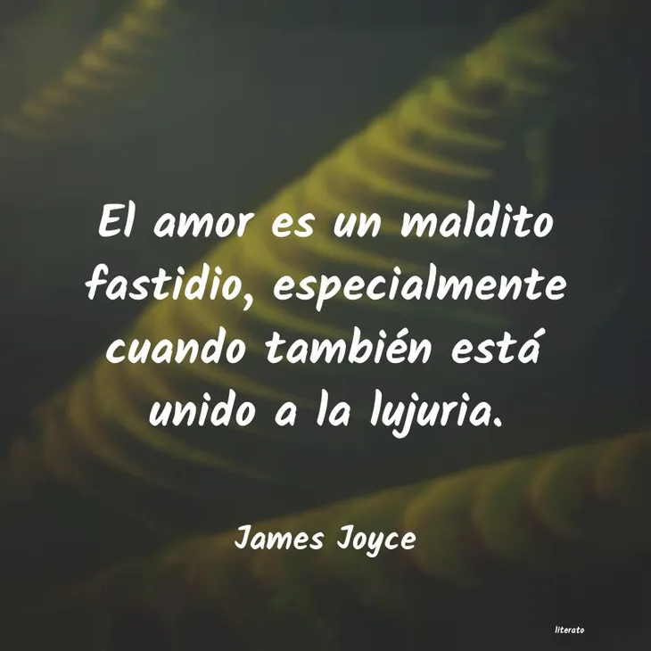 6027 3763 - James Joyce Frases