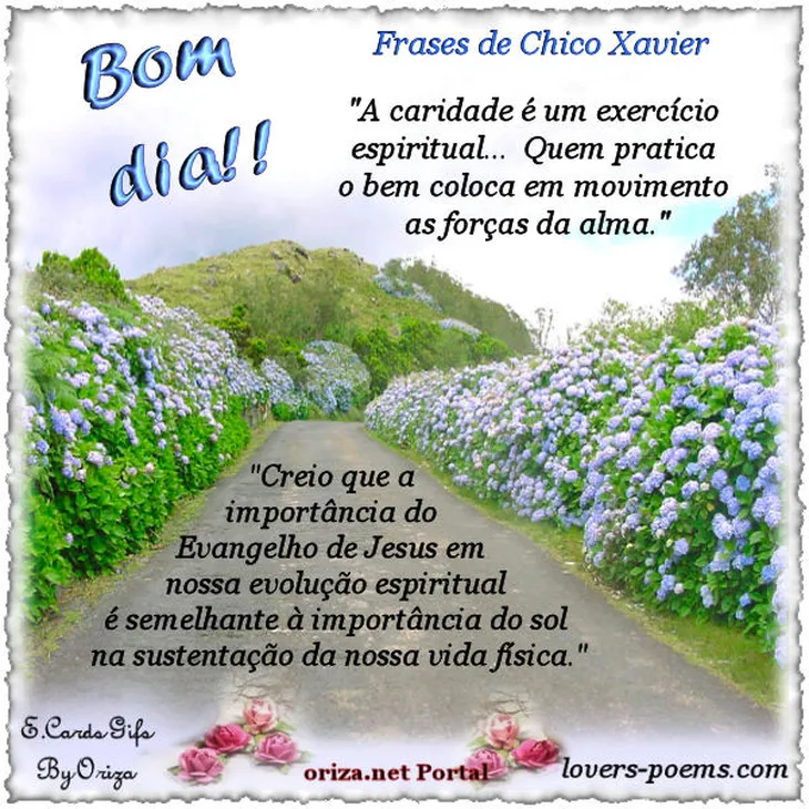 6084 113294 - Frases Evangelho