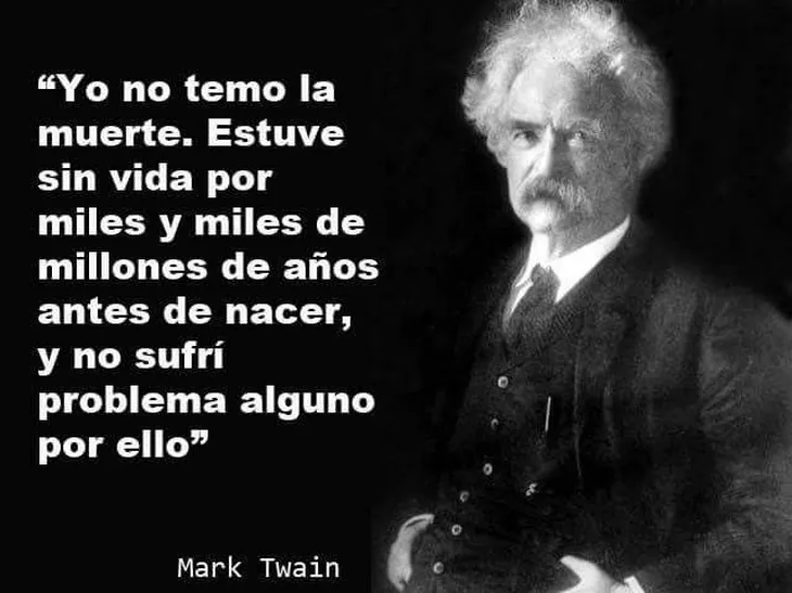 6133 68496 - Mark Twain Frases