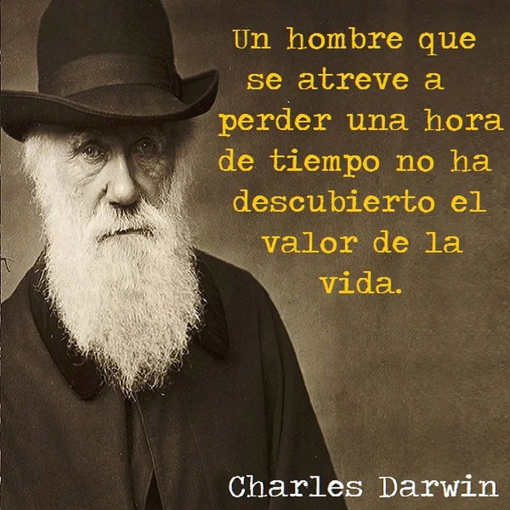 6202 12647 - Frase De Charles Darwin