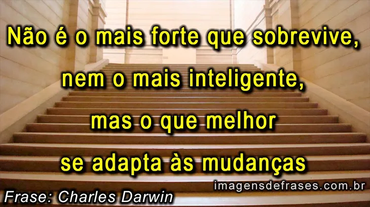 6202 12649 - Frase De Charles Darwin