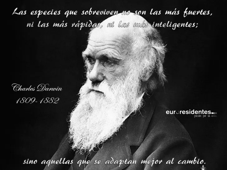 6202 12653 - Frase De Charles Darwin