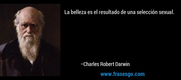 6202 12656 - Frase De Charles Darwin