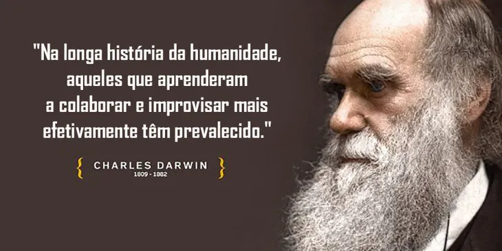 6202 12660 - Frase De Charles Darwin