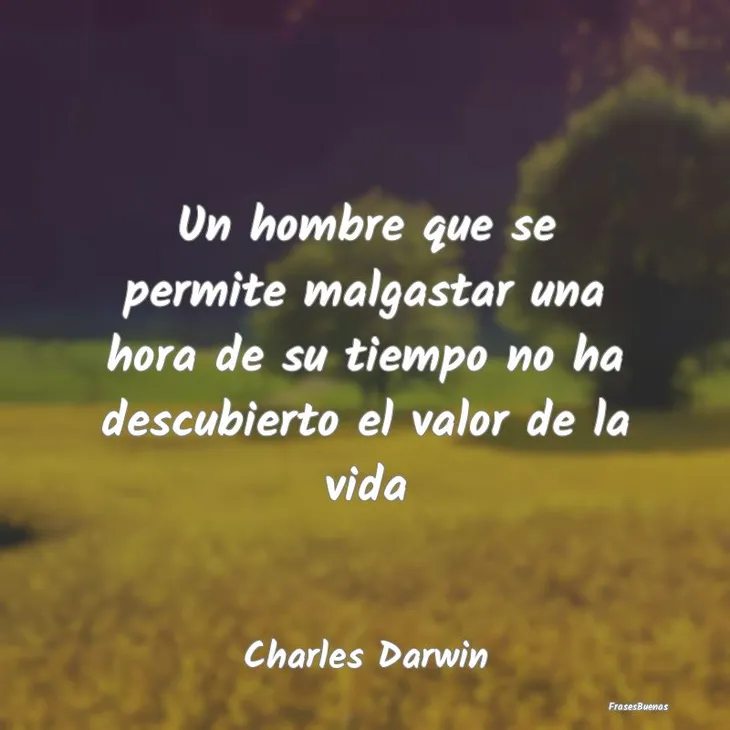 6202 12668 - Frase De Charles Darwin