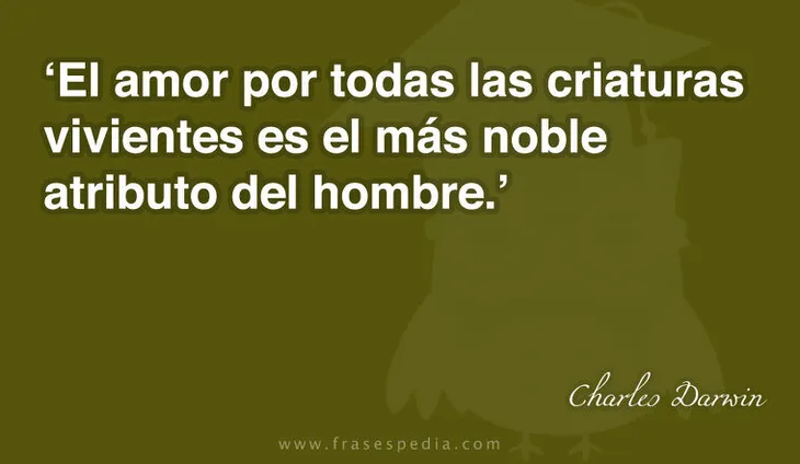 6202 12669 - Frase De Charles Darwin