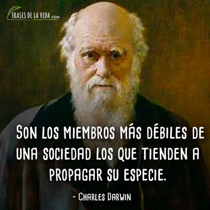 6202 12670 - Frase De Charles Darwin