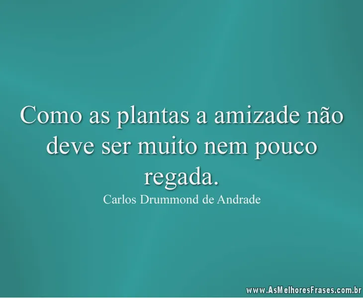 6219 24763 - Carlos Drummond Andrade Frases
