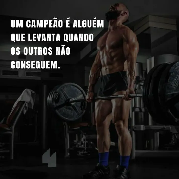 6231 103738 - Frases De Campeão