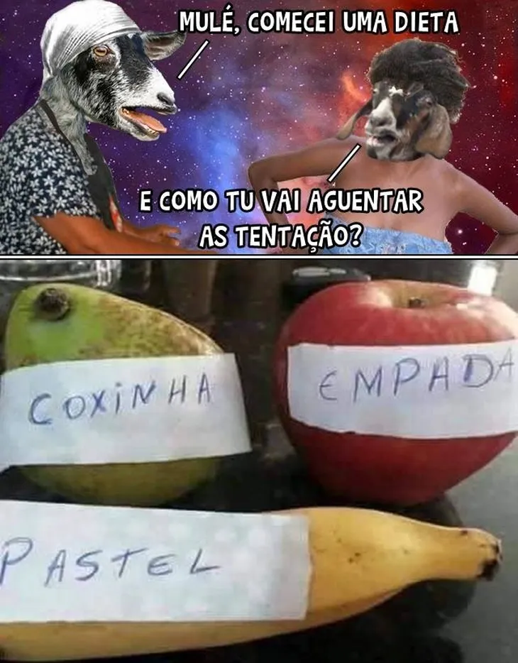 6320 68713 - Museu De Memes