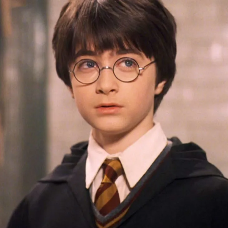 6405 1994 - Memes Harry Potter Br