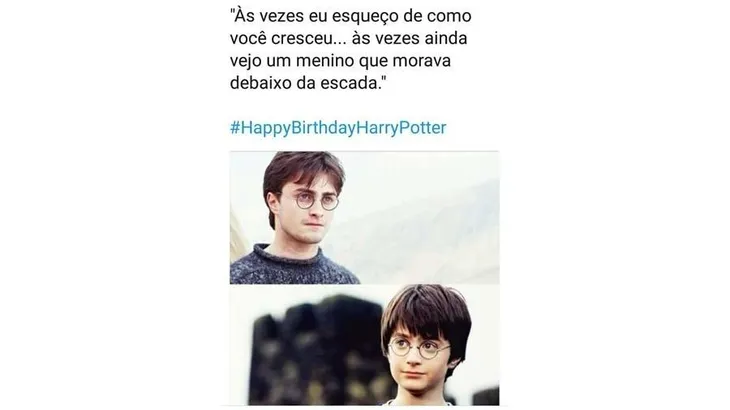 6405 2008 - Memes Harry Potter Br