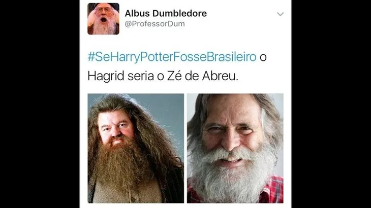 6405 2018 - Memes Harry Potter Br
