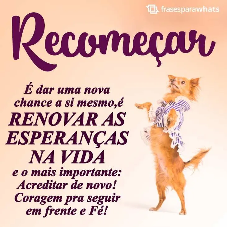 6411 103806 - Frases Tiago Iorc