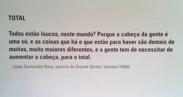 6451 44911 - Frases Sobre A Lingua Portuguesa