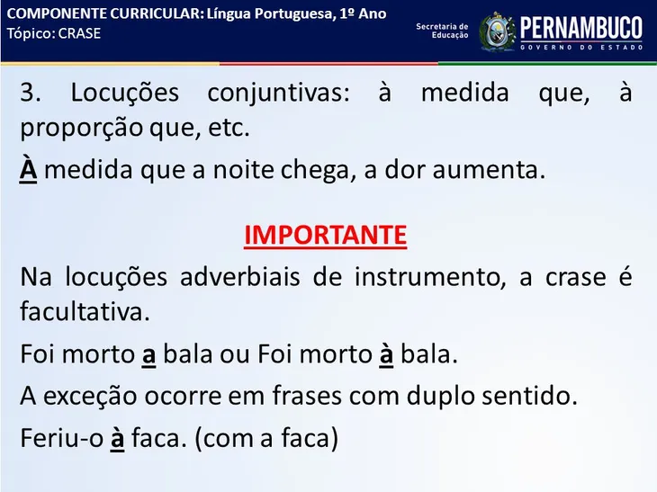 6451 44915 - Frases Sobre A Lingua Portuguesa