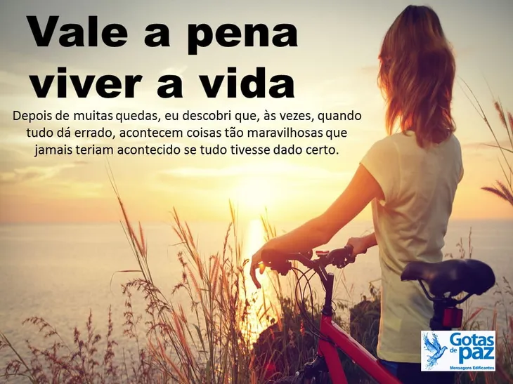 6494 3064 - Viver Vale A Pena