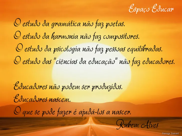 6496 29311 - Rubem Alves Frases