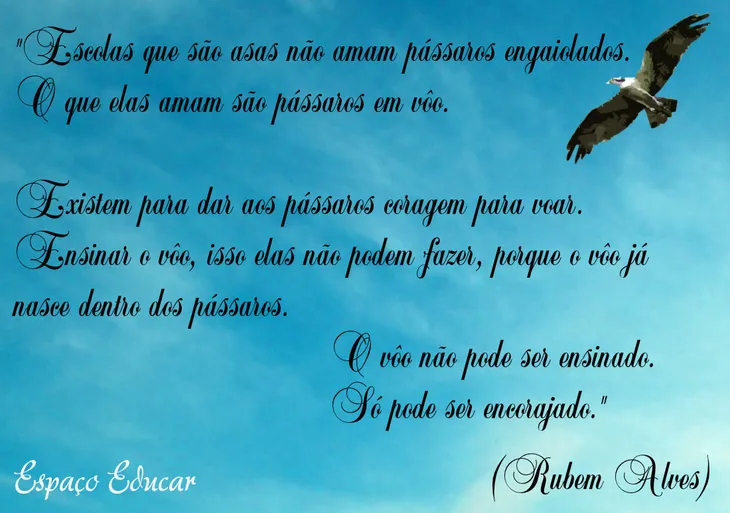 6496 29312 - Rubem Alves Frases