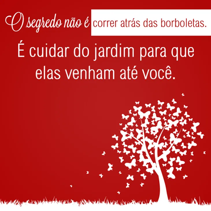 6496 29315 - Rubem Alves Frases