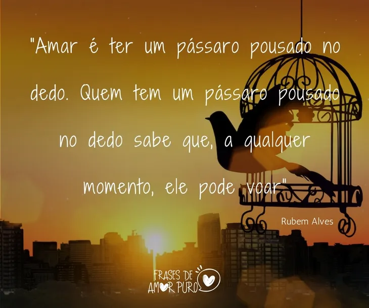 6496 29319 - Rubem Alves Frases