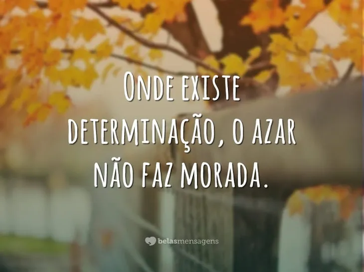 6523 107949 - Frases De Determinação