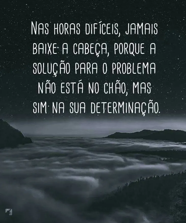 6523 107955 - Frases De Determinação