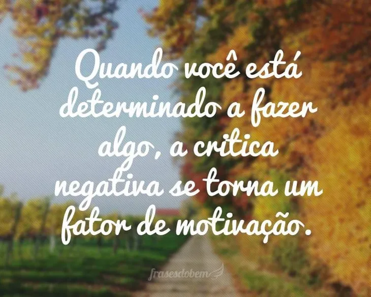 6523 107962 - Frases De Determinação