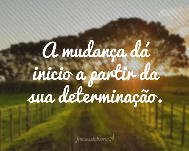 6523 107968 - Frases De Determinação