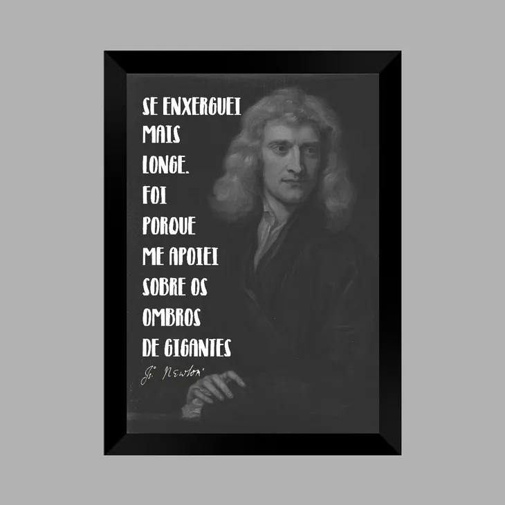 6592 111512 - Isaac Newton Frases