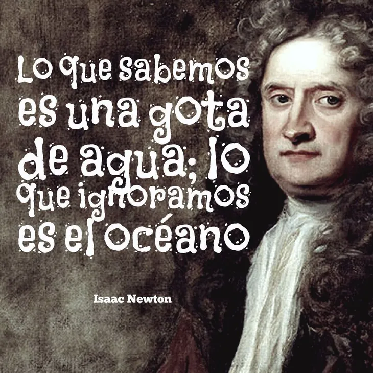 6592 111517 - Isaac Newton Frases