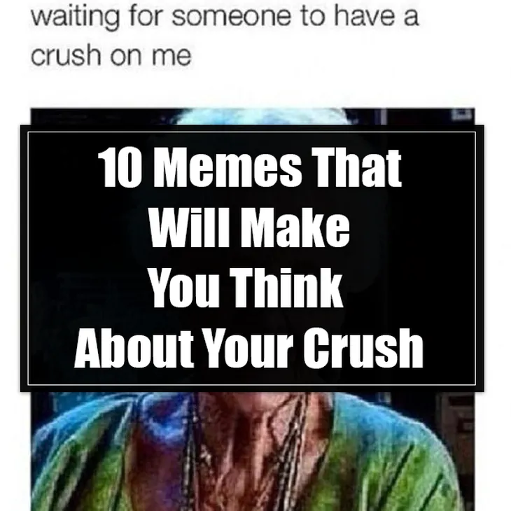 6596 98331 - Memes Crush