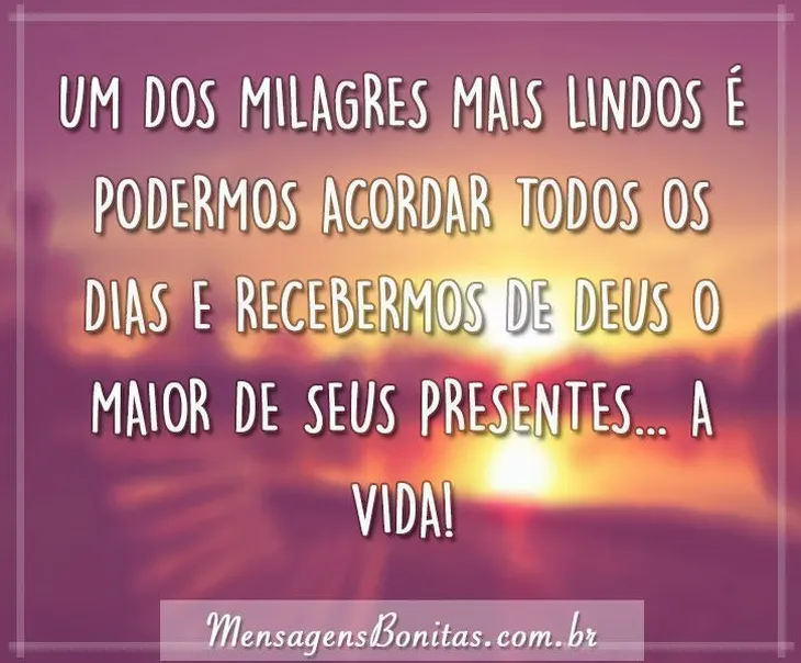 6630 8573 - Frases De Milagres