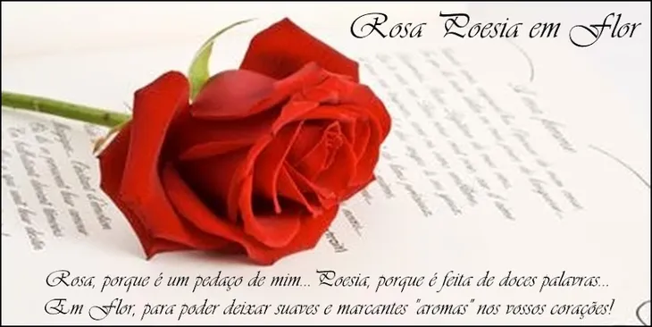 6651 9574 - Poema Sobre Rosas