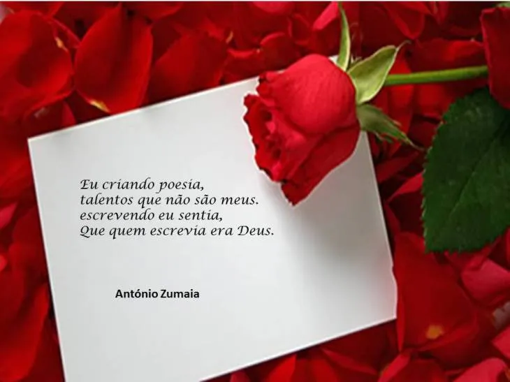 6651 9592 - Poema Sobre Rosas