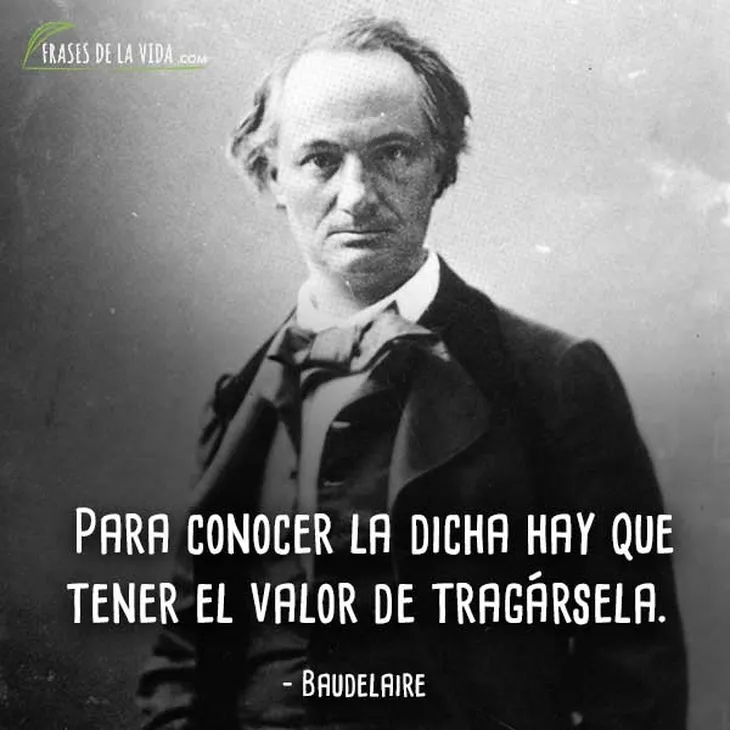 6670 45145 - Charles Baudelaire Frases