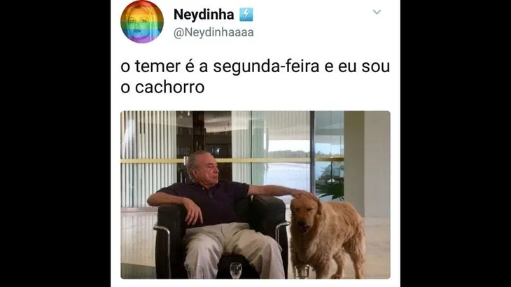 6699 48542 - Memes De Cachorro