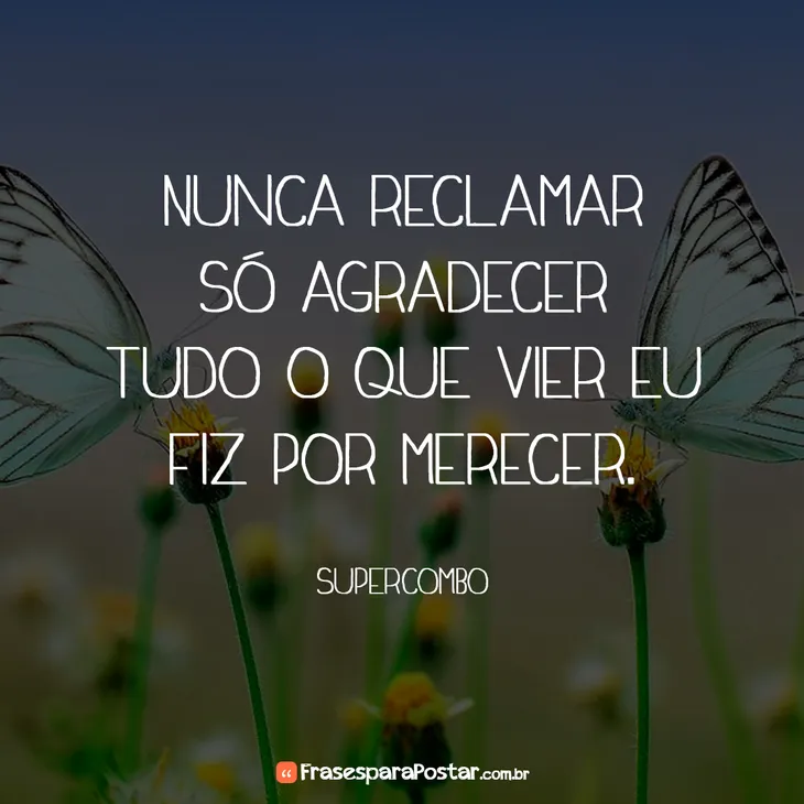 6791 10366 - Frases Supercombo