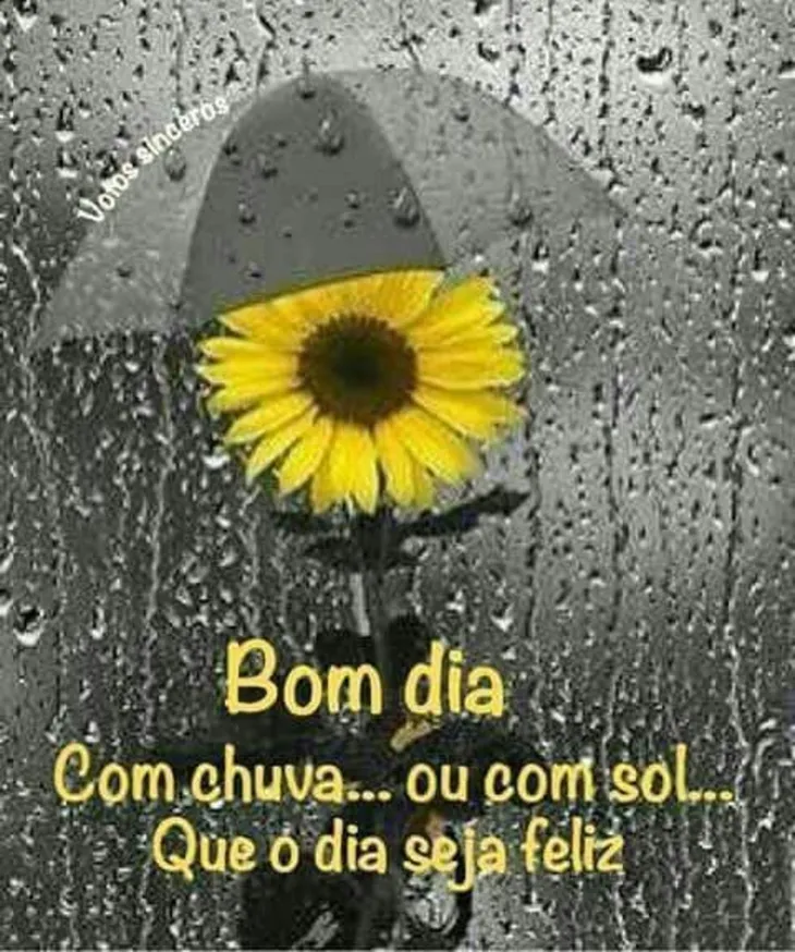 6842 10150 - Bom Dia Com Chuva