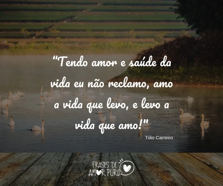 6939 106706 - Frases Tiao Carreiro