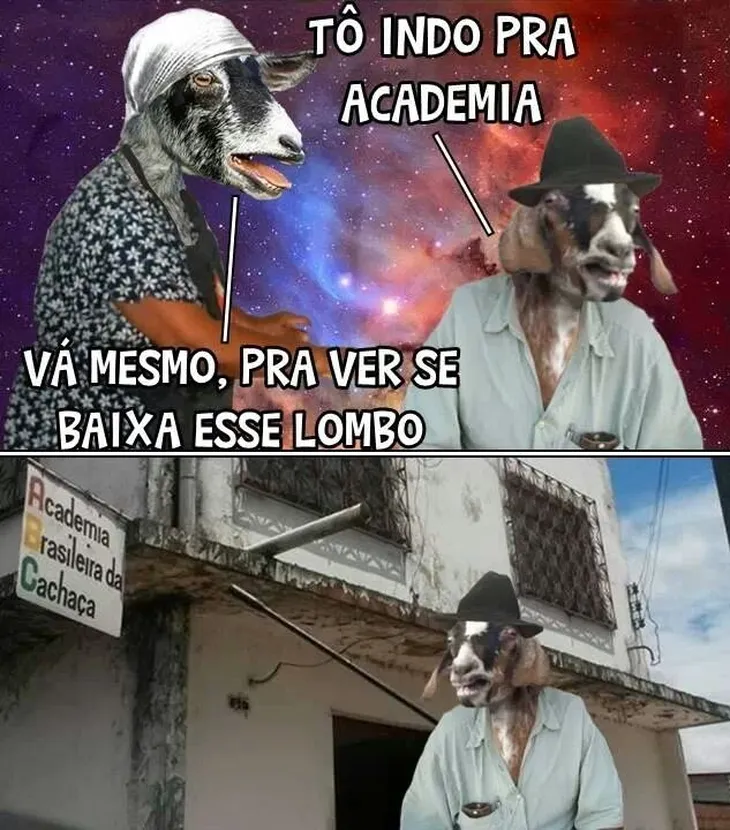 6987 108388 - Memes Academia