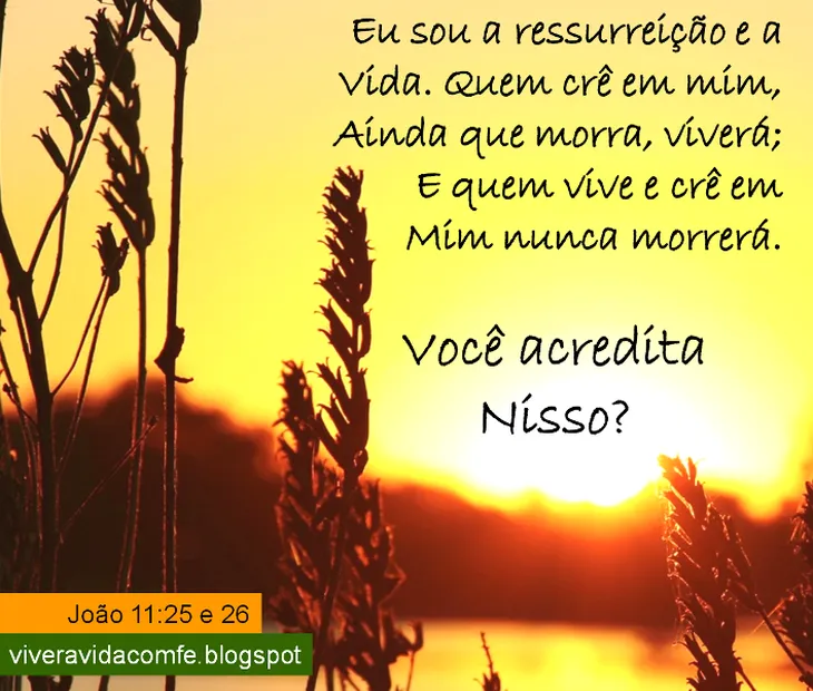 7062 3735 - Frases De Pesames