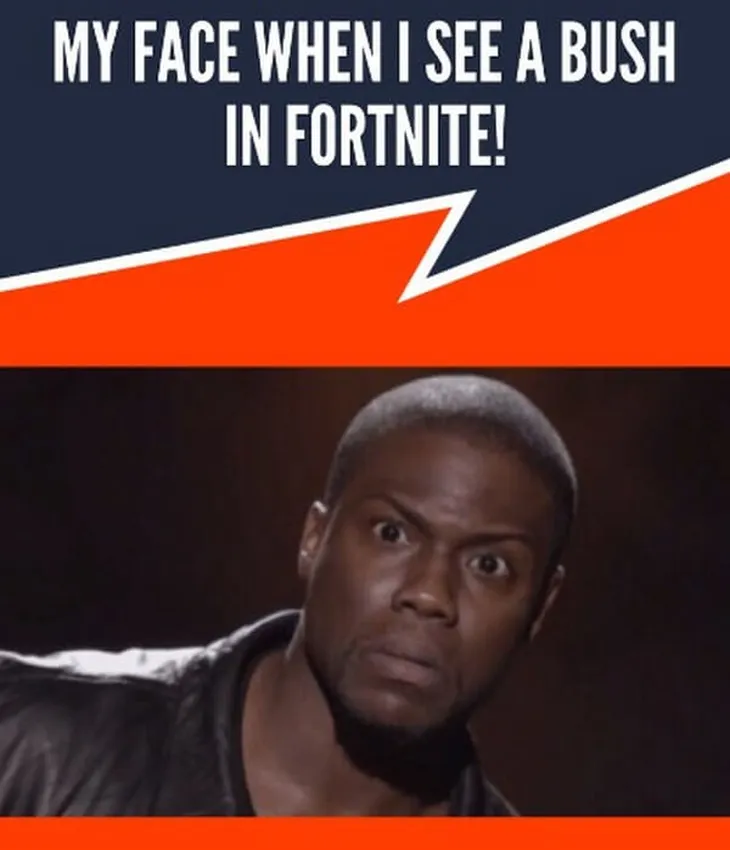 7102 78368 - Memes Fortnite