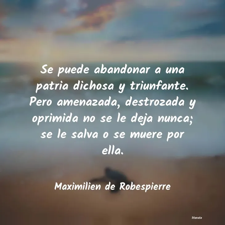 7135 49117 - Robespierre Frases