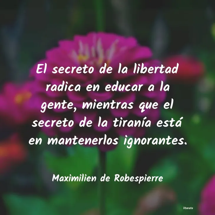 7135 49122 - Robespierre Frases