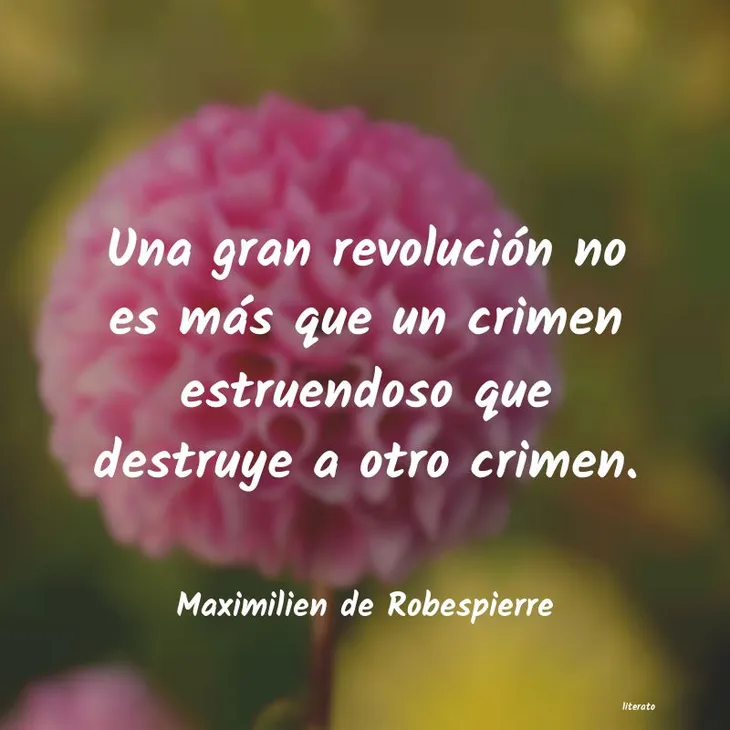 7135 49139 - Robespierre Frases