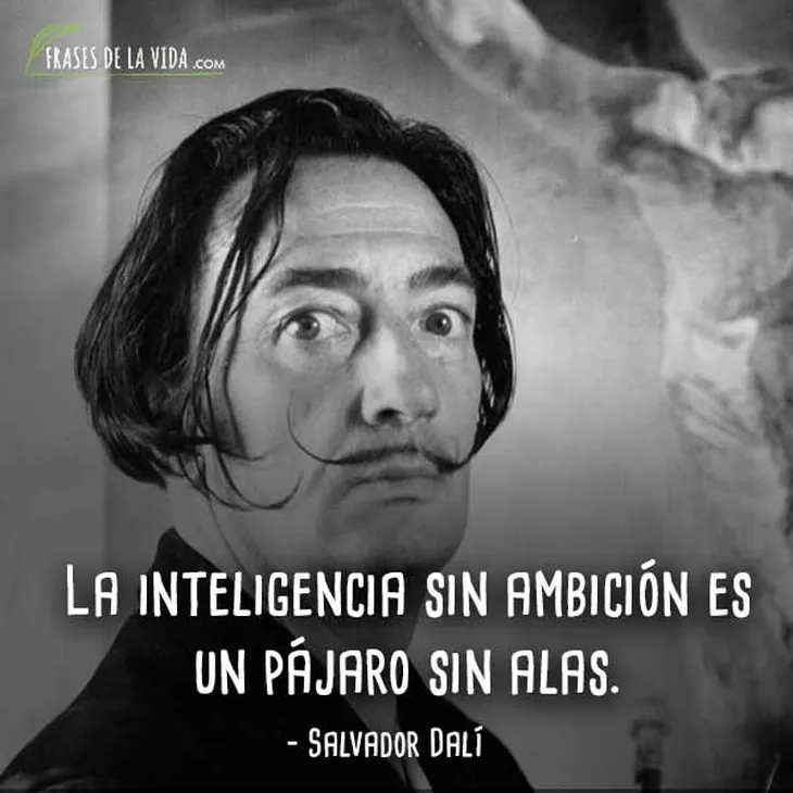 7161 81447 - Frases De Salvador Dali